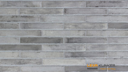 Klinkerio fasado plytelė CHICAGO 290x52x10 mm
