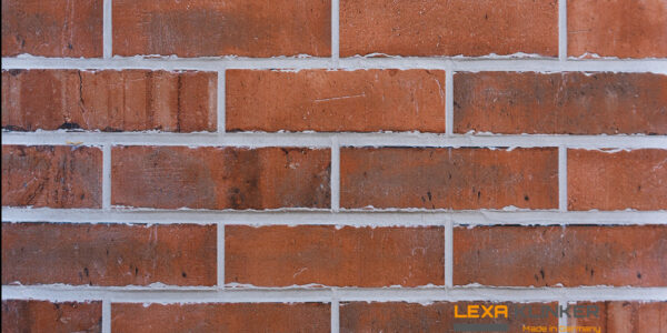 Fasadinė klinkerio plytelė SAN CARLO 240x71x10mm