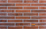Fasadinė klinkerio plytelė SAN CARLO 290x52x10mm