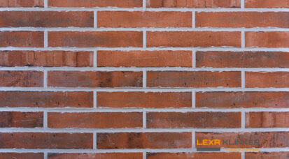 Fasadinė klinkerio plytelė SAN CARLO 290x52x10mm