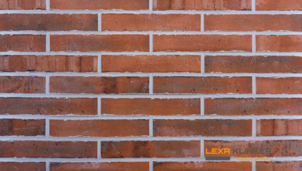 Fasadinė klinkerio plytelė SAN CARLO 290x52x10mm