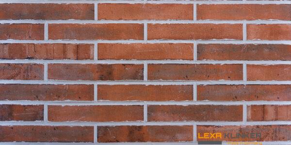 Fasadinė klinkerio plytelė SAN CARLO 290x52x10mm