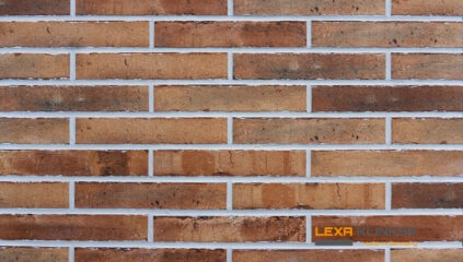 Klinkerio fasado plytelė SAN REMO 290x52x10 mm