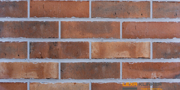 Fasadinė klinkerio plytelė SCALA 240x71x10 mm