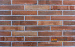 Fasadinė klinkerio plytelė SCALA 290x52x10 mm