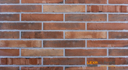 Fasadinė klinkerio plytelė SCALA 290x52x10 mm