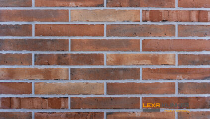 Fasadinė klinkerio plytelė SCALA 290x52x10 mm