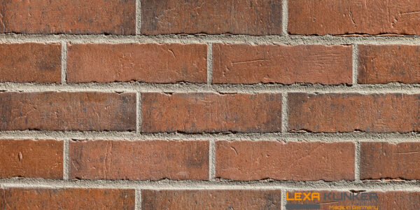 Fasadinė klinkerio plytelė ZWOLLE 240x71x10 mm