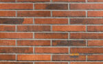 Fasadinė klinkerio plytelė MASSIMO 290x52x10 mm