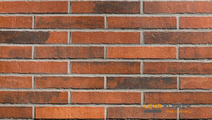 Fasadinė klinkerio plytelė MASSIMO 290x52x10 mm