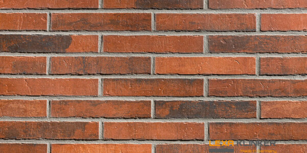Fasadinė klinkerio plytelė MASSIMO 290x52x10 mm