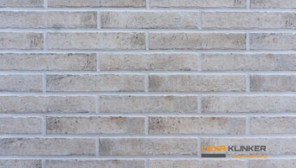 Klinkerio plytelės fasadui BARDOLINO 290x52x10 mm