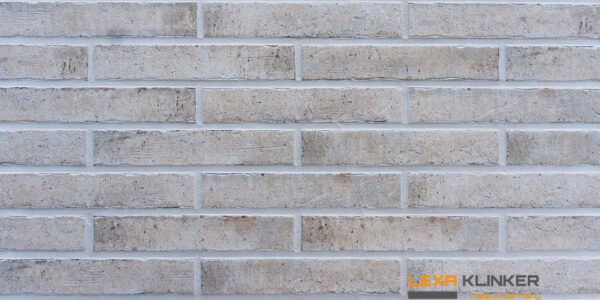 Fasadinė klinkerio plytelė BARDOLINO 290x52x10 mm