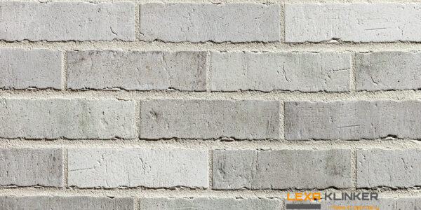 Fasadinė klinkerio plytelė DOMBURG 240x71x10 mm