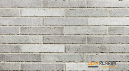Klinkerio fasado plytelės DOMBURG 290x52x10 mm