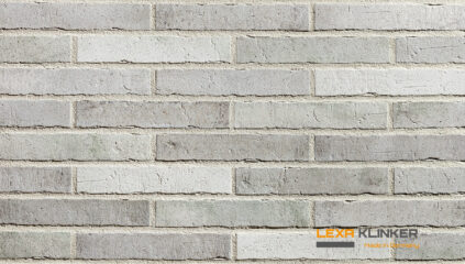 Klinkerio fasado plytelės DOMBURG 290x52x10 mm