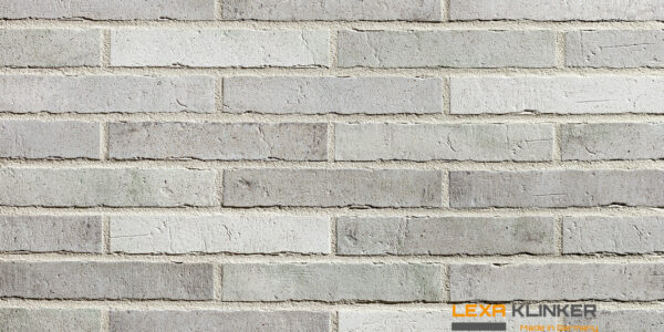 Klinkerio fasado plytelės DOMBURG 290x52x10 mm
