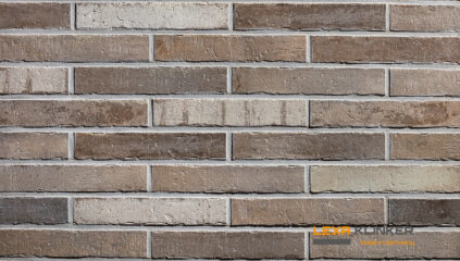 FASADINĖS PLYTELĖS DUBLIN 290x52x10 mm
