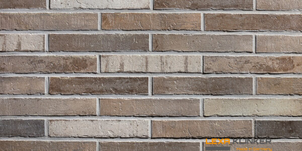 FASADINĖS PLYTELĖS DUBLIN 290x52x10 mm