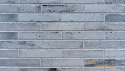 Klinkerio fasado plytelė KAPSTADT 290x52x10 mm