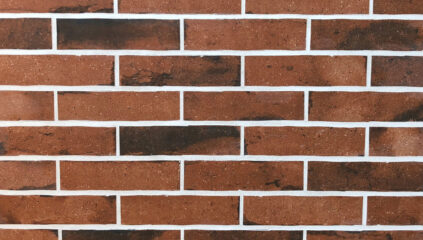 Fasadinė klinkerio plytelė BRICK LOFT ZIEGEL 240x71 mm