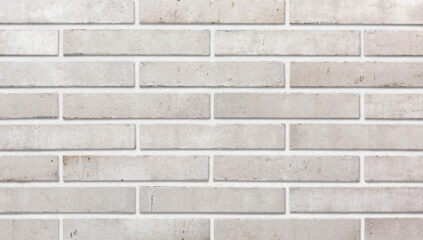 SMOKE fasadinės klinkerio plytelės 290 x 52 x10 mm