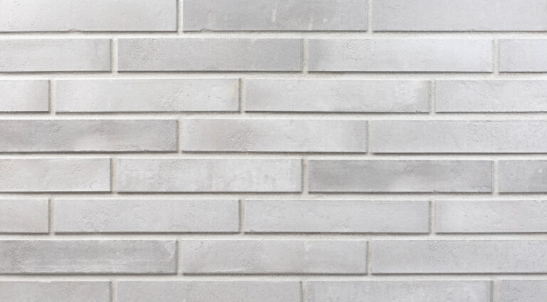 EIS klinkerio fasado plytelė 290 x 52 x10 mm