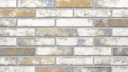 Klinkerio fasadinės plytelės GOLD MIX 240 x 52 x 10 mm