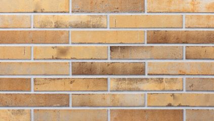 Fasadinės klinkerio plytelės NATURE 290 x 52 x 10 mm