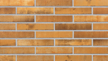 Klinkerio fasado plytelė OLD YELLOW 290 x 52 x 10 mm