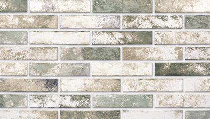 SALBEI klinkerio fasadinės plytelės 240 x 52 x 10 mm