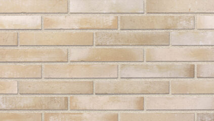 Fasadinės klinkerio plytelės SCANDI 290 x 52 x 10 mm