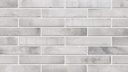 Fasadinės klinkerio plytelės STAHLGRAU 290 x 52 x 10 mm