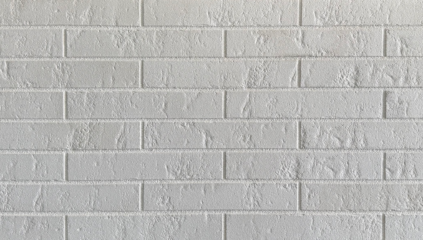 Klinkerio plytelės fasadui WEISS N 290 x 52 x 10 mm