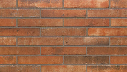 Fasadinės klinkerio plytelės HARWARD RED 290 x 52 x 10 mm
